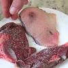 After the choice of the bird is made, it follows fromthe abundance of a variety of culinary proposals to dwell on such a recipe for soup from a wild duck, so that the interesting dish turns out to be satisfying. Https Encrypted Tbn0 Gstatic Com Images Q Tbn And9gcsdtatv7xgvmlpsgjtrpptzz2ok3nw9qs5psfwa4z8t Vsdhb9w Usqp Cau
