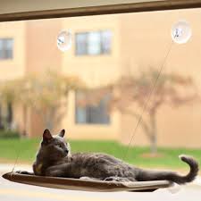 Standing at 46, the window watcher perch cat tree is the perfect height for window watching, making it an ideal window sill perch for cats. Cat Trees And Window Perches Solutions For A Curious Cat The Kitty Expert