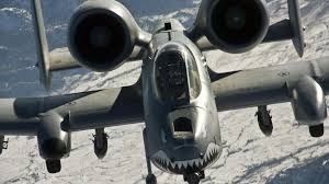 Animals For A10 Warthog Wallpaper Hd Military Wallpaper Fighter Jets Thunderbolt