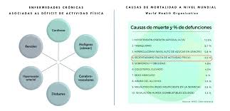 El sedentarismo es la falta de actividad física regular, definida como: Beneficios Del Sedentarismo