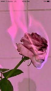 Pin By Heather Rose On Cool Vibe Pastel Pink Aesthetic Aesthetic Colors Pink Aesthetic
