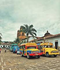 Image result for Droguetia ambigua