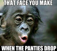 31 Top Notch Pics And Memes To Make You Laugh Funny Monkey Pictures Monkeys Funny Monkey Pictures