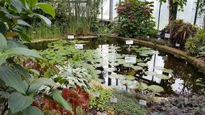 Eintrittspreis Meiner Meinung Nach Zu Hoch Liberec Botanical Garden Liberec Reichenberg Reisebewertungen Tripadvisor