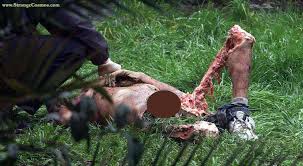 Image result for dudenbuch grizzly