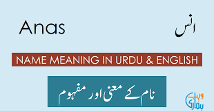 Anas Name Meaning Anas Meaning Definition Muslim Boy Name