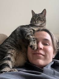 Nis Nis needs some company in Horsens, Danmark between 25th of september to  9th of october. The city is 40min drive from Billund airport, Legoland,  Lalandia, Wow park and 25mim from Givskud