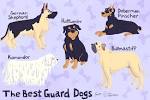 Best Guard Dogs For Families – CanineJournal