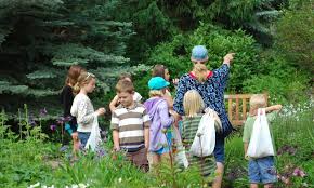 The town, home to vail ski resort, the largest ski mountain in colorado, is known for its hotels, dining, and for the numerous events the city hosts annually. Things To Do In Vail Colorado With Kids Alltrips
