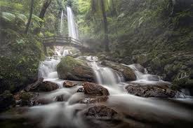 Berbagai jenis tumbuhan di sekitar aliran air menambah kesejukan alam yang begitu luar biasa. Pemandangan Air Terjun Asli Pemandanganoce