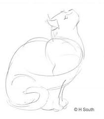 Drawing Cat Cartoon Character Design Kitty 61 Ideas Animal Drawings Art Drawings