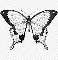 Maybe you would like to learn more about one of these? Collection Of Free Butterfly Drawing Nature Download Butterfly Black And White Victorian Prints Png Image With Transparent Background Toppng