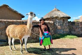 A virtual guide to peru, the third largest country in south america, with a 2,400 km long coastline at the south pacific ocean. Bevolkerung Und Religion Perus Peru Reisen Informationsportal