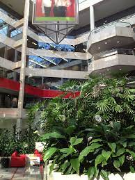 +61 2 9952 1066 toll free: St George Bank Burofotos Glassdoor