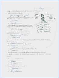 Helicase () begins to unwind the dna at the replication fork. Rebop Dna Worksheet Printable Worksheets And Activities For Teachers Parents Tutors And Homeschool Families