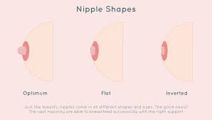 Image result for Nipple Inversion