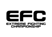 To become an effective promotion company, you must learn all you can about a specific industry. Extreme Fighting Championship Wikipedia