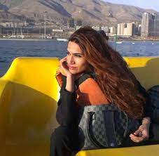 Laut angaben der weltbank besitzen nur 16% der frauen in mazedonien eigenes eigentum. Zana Ramadani Der Islam Macht Unsere Werte Kaputt Welt