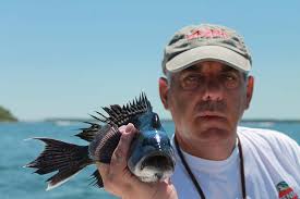 Fred Golofaro: A Retrospective