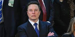 Elon Musk tells Tesla bull Dan Ives to 'shut up' after analyst calls for company oversight of the CEO