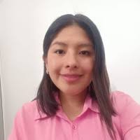 70+ "Enriquez Tapia" profiles