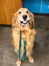 He thoroughly enjoys practicing veterinary medicine. San Diego Bay Animal Hospital Home Facebook
