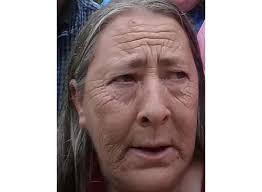 Dianne Lynn Cool Obituary (2024)