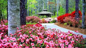 Pada awalnya, alkitab menjelaskan surga berbuah dan pria ideal dan wanita. Wallpaper Di Taman Eden Hd Unduh Gratis Wallpaperbetter