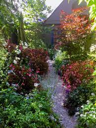 pin op garden plants plant combinations perennials annuals trees shrubs vines etc