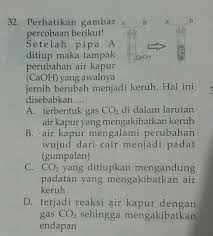 Maybe you would like to learn more about one of these? 32 Setelah Pipa A Ditiup Maka Tampak Perubahan Air Kapur Yang Awalnya Jernih Berubah Menjadi Brainly Co Id