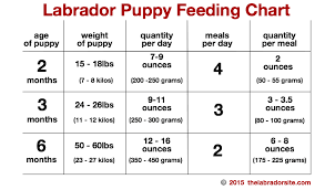 Weight Labrador Retriever Online Charts Collection