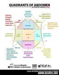 Quadrant S Of Abdomen Nurse Nursing School Nursing Tips