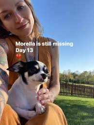 These two signs have disappeared