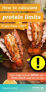 This would lower the overall potassium content of the the dish and therefore allow the use of. Protein Meats And Your Renal Diet Kidney Diet Recipes Kidney Disease Diet Recipes Kidney Disease Diet