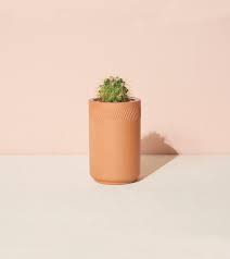 The most common cactus growing kit material is metal. Terracotta Kit Cactus Modern Sprout