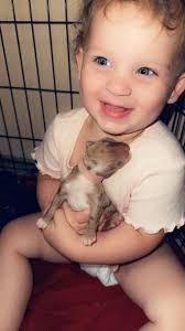 Southern Charm Kennels