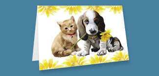 By providing my mobile number, i agree to receive periodic text messages from the aspca. Memorial Gifts Tribute Donations Send A Card Aspca