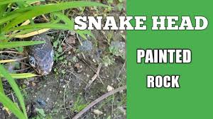 Learn how to paint animals on rocks with these step by step video tutorials. Painting Rocks Snake Head Youtube