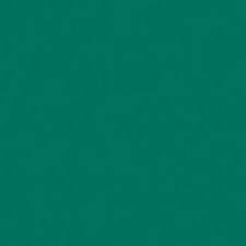 Handed down from the popular irish surname kelly, the name of this color first became known in the united states in the early 1900s. Rosco 94 Roscolux Kelly Green 20x24 Color Effect Filter 94 Adorama