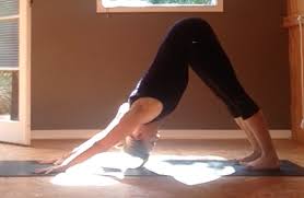 anna timms certified iyengar yoga