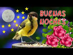 Buenas Noches Abrelo Dulces Suenos Este Video Cambiara Tu Vida Mensaje Hermos Lmagenes De Buenas Noches Gifs De Buenas Noches Cartelitos De Buenas Noches