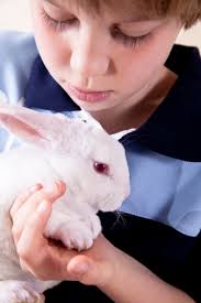 Boy Child Holds White Easter Bunny Rabbit Cute Love Affection Stock Photo
