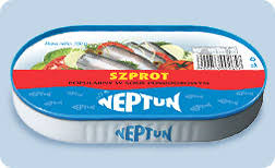Image result for neptun szprot