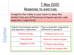 Response To Exercise