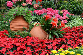 Resultado de imagen de flores en jardin