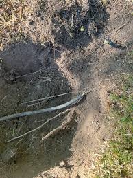 Image result for site:byggahus.se gummikabel