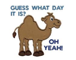 If they need a new mascot i'm available! Hump Day Camel Etsy