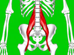 The torso often moves in and out with breathing movements. Hip Flexor Strain Symptoms Causes And Treatment