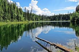 Cobb Lake Kootenay National Park Hiking Bc Hiking With