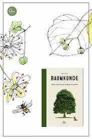 Meine Kleine Baumkunde Baumkunde Baum Wald